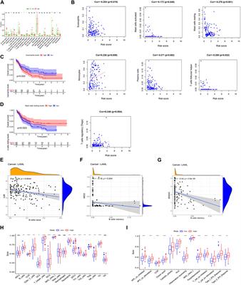 Identification of immunity-related lncRNAs and construction of a ceRNA network of potential prognostic biomarkers in acute myeloid leukemia